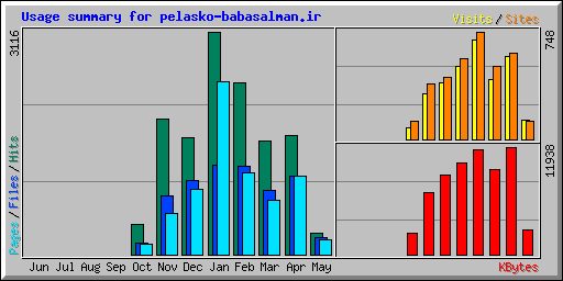 Usage summary for pelasko-babasalman.ir